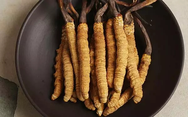 经常遗精是不是肾阳虚,频繁遗精肾阳虚还是肾阴虚