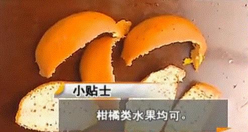 身上出现红疙瘩、还痒?很可能是螨虫引起的,快对学几招对付它!