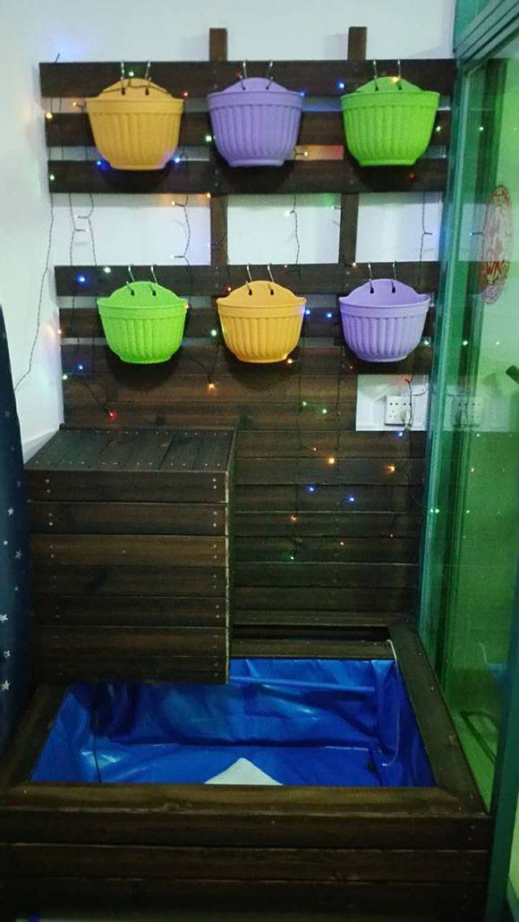 内蒙古阳台锦鲤鱼池,自制锦鲤观赏鱼池