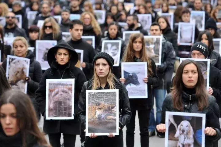 狗肉节的意义,狗肉节延续看法