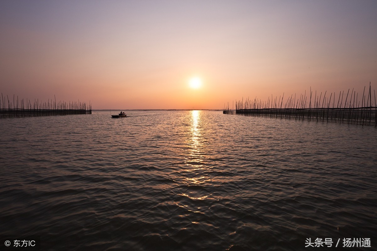 江苏扬州沿湖村翻身记:放下渔网改“触网”,渔民上岸“卖风景”