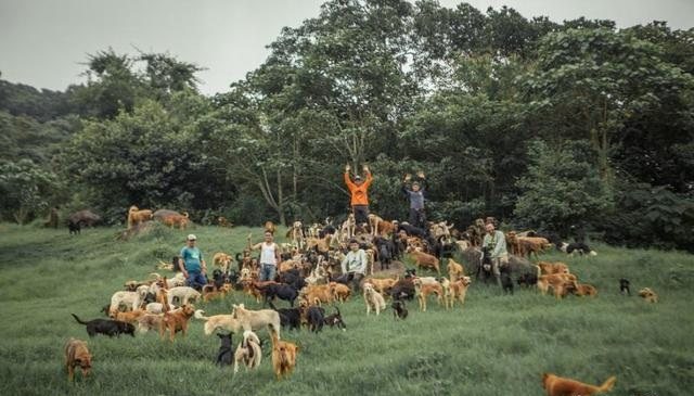 跟着世界杯一起走出国门的狗狗们