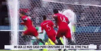 世界杯不能相信的七个谎言,世界杯12个谣言是真的吗