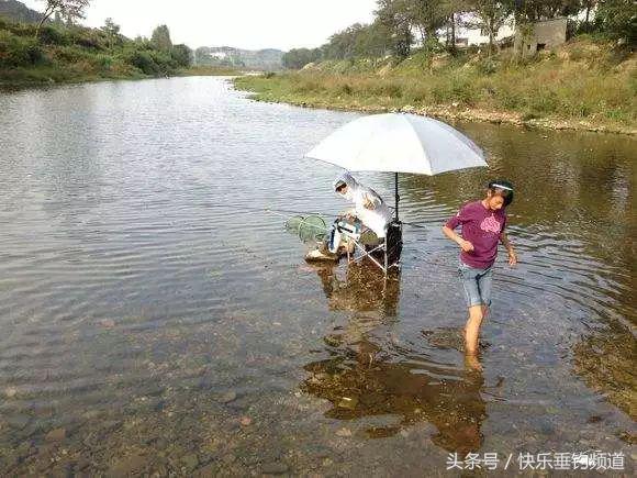 浅水能钓到野鲫吗,浅水可以钓鲢鳙吗