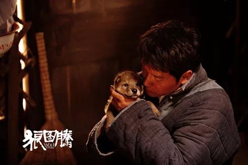 草原马背上的守护者,草原雄鹰的守护神