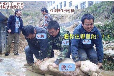 股市暴跌真相和出手信号,中国股市暴跌的原因是什么