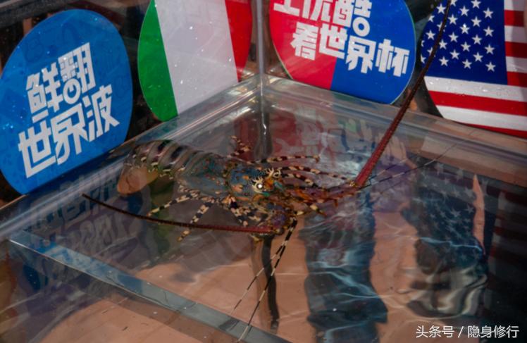 怎么避免毒奶,如何避开毒奶粉