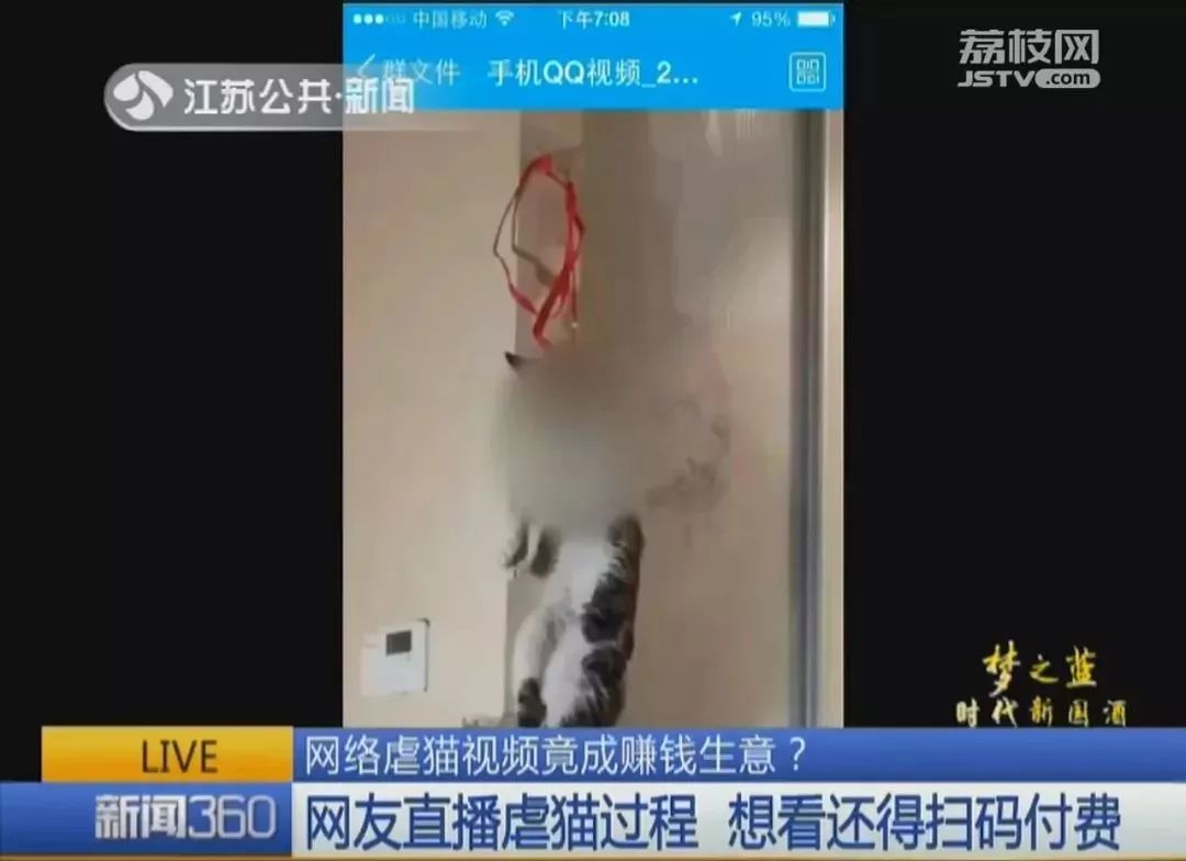 iOS11.4出现相机故障,网友直播虐猫还收费,微信下架拼房小程序|科技BB鸭