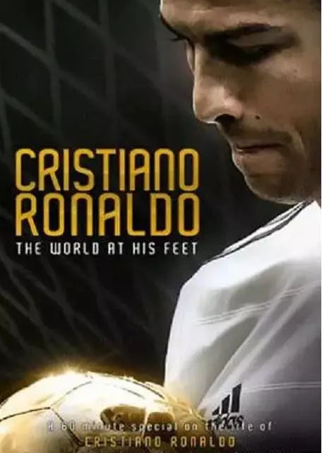 十部必看的足球电影,必看的10部足球电影