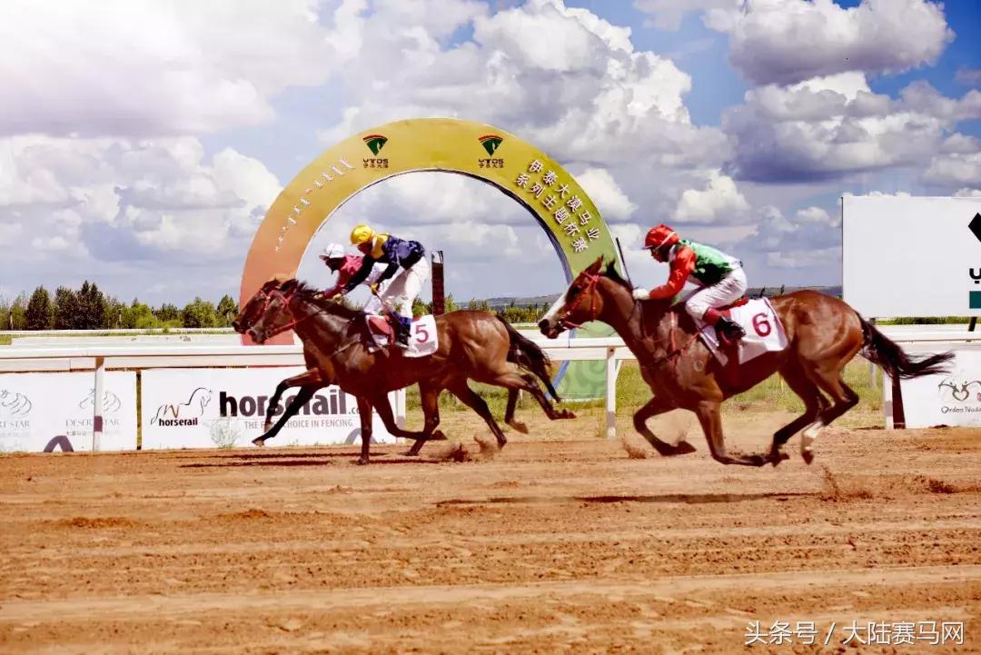 赛马现场直播电台,赛马直播间在线观看新疆