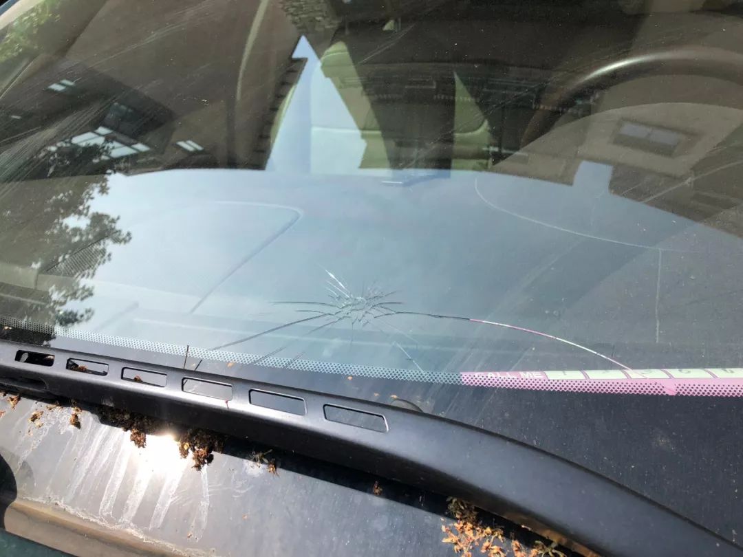 北京一男子在公路上砸车,男子足彩输了钱