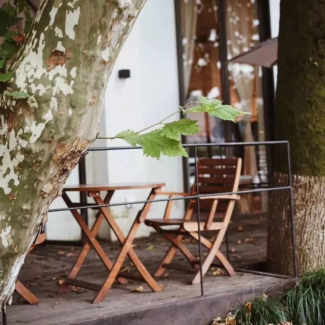 西溪湿地值得去的地方,逛腻了身边的景点周边游