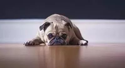 「时令」夏天午睡，起来又困又懵又烦？没做对这6件事，白睡还伤身！