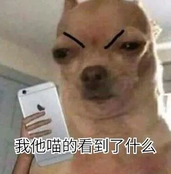 怎么对付心机婊讲解,怎么对付带节奏的心机婊