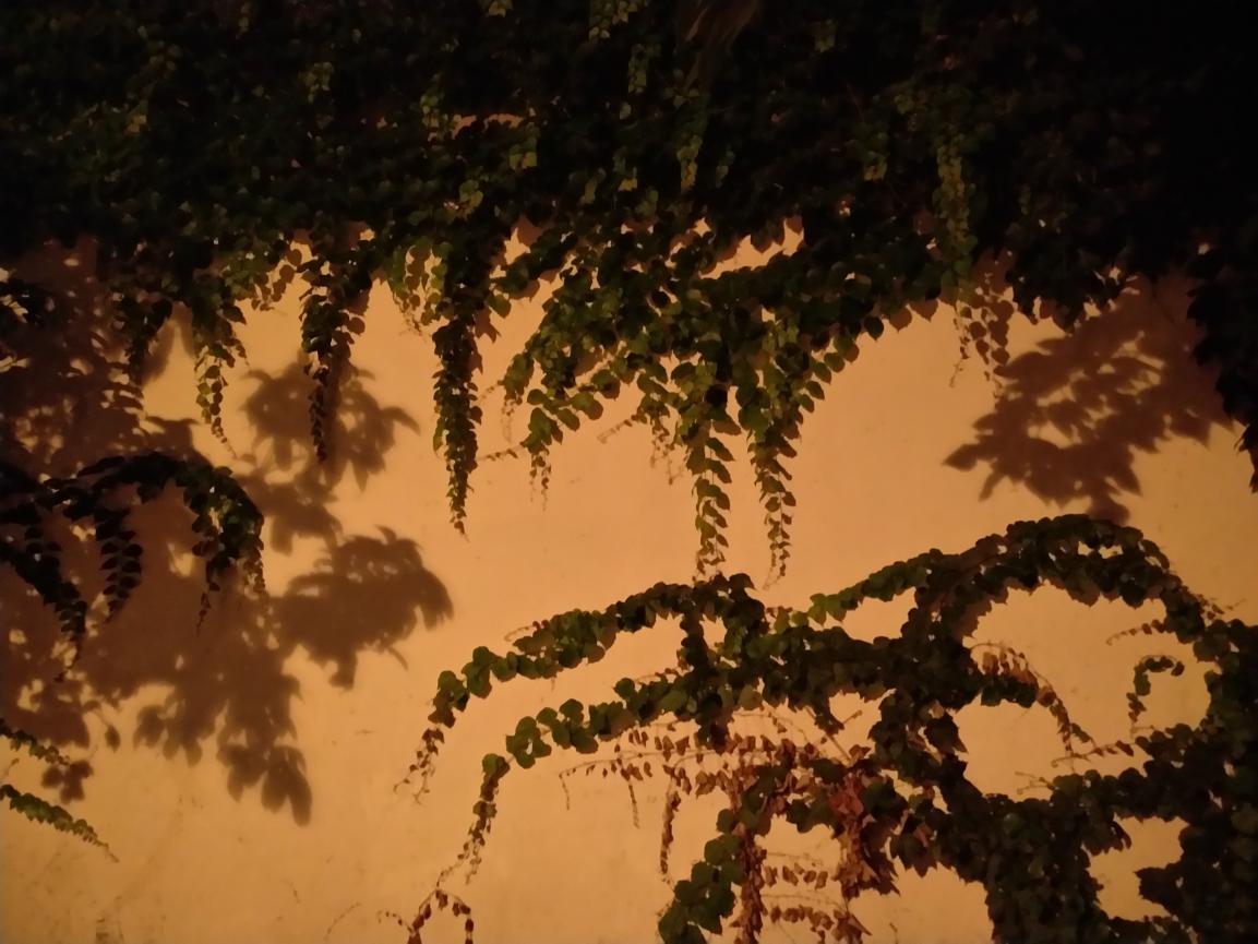 上海最近的古镇七宝老街,带你夜游上海七宝古镇