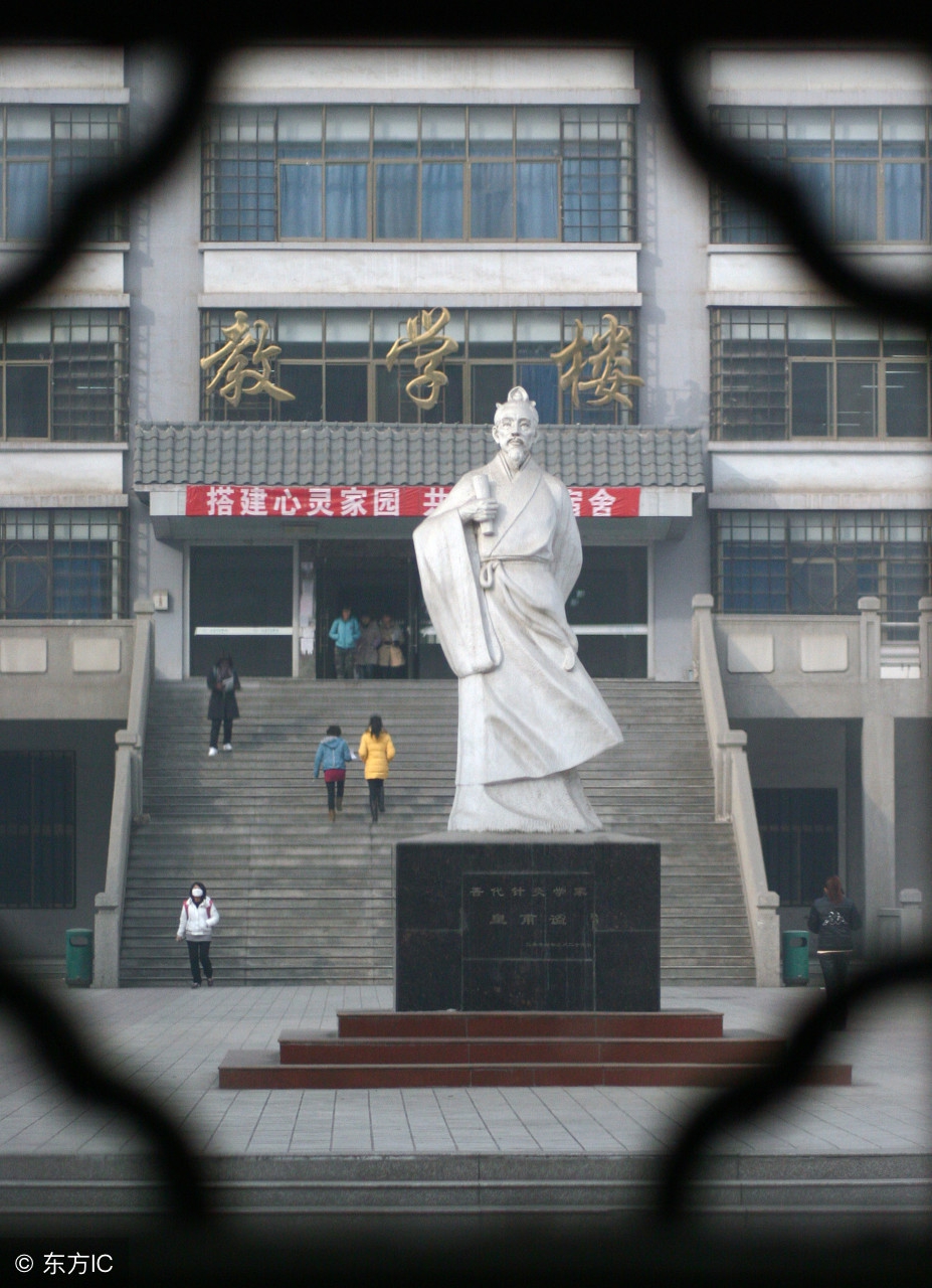 神龙大侠？不需要的！学会了气，人人都是中医阿宝，请收下这篇气