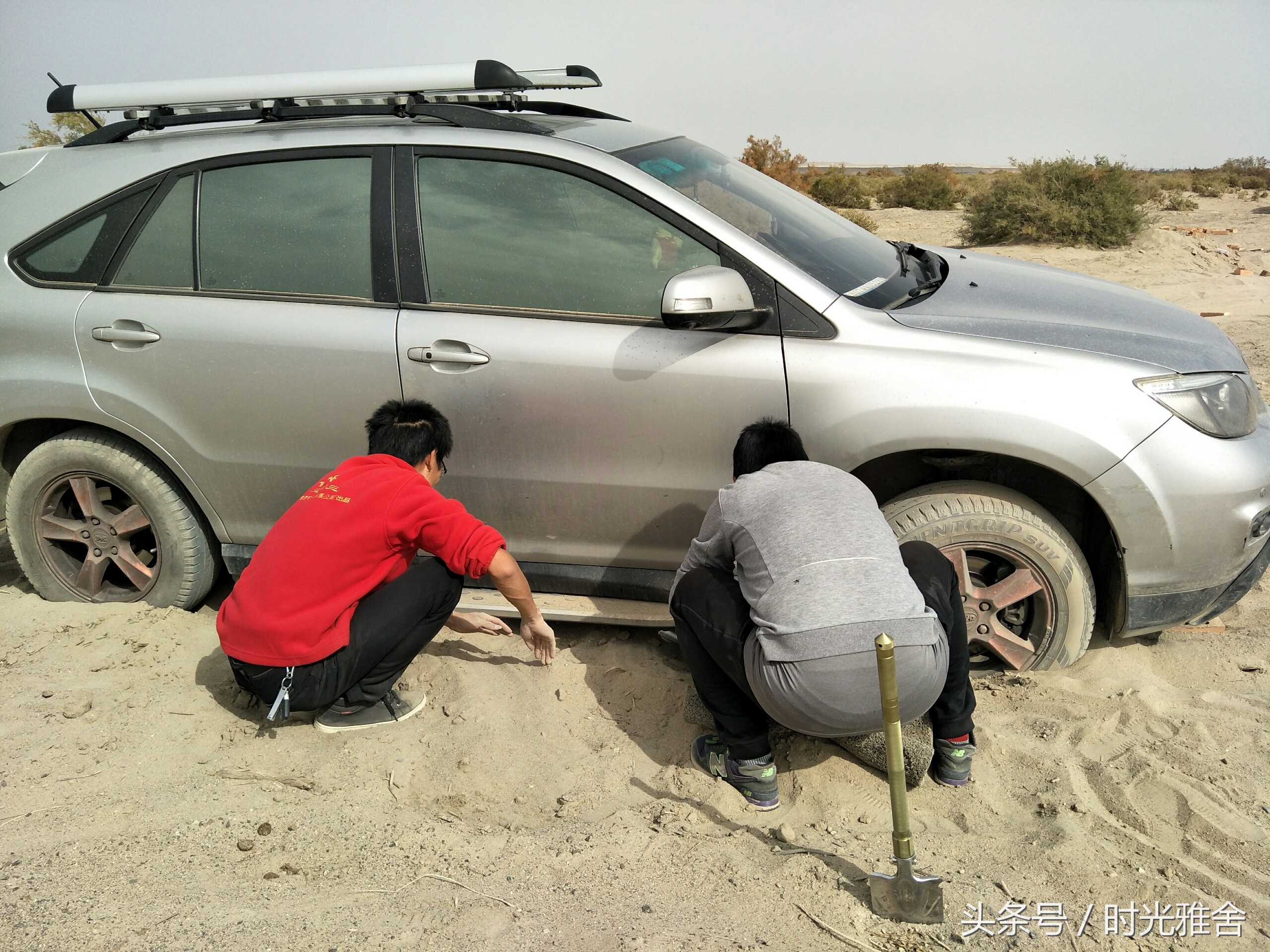 去看胡杨林,想去沙漠里看胡杨林