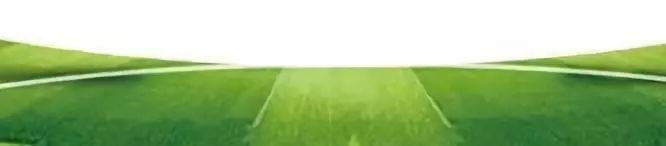 真棒！盐城小球员，昨晚登上世界杯球场！江苏唯一！