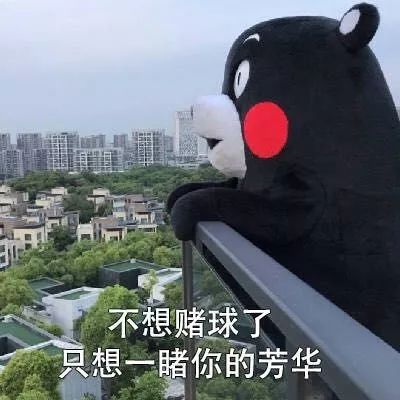 当世界杯遇到东北话,当世界杯遇到土味配音