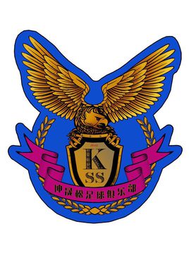 天津有这么多足球俱乐部，觉得下一届世界杯有国足一席之地了！