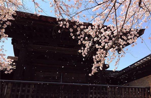 去日本值得买的东西有哪些,日本特色必买清单名单