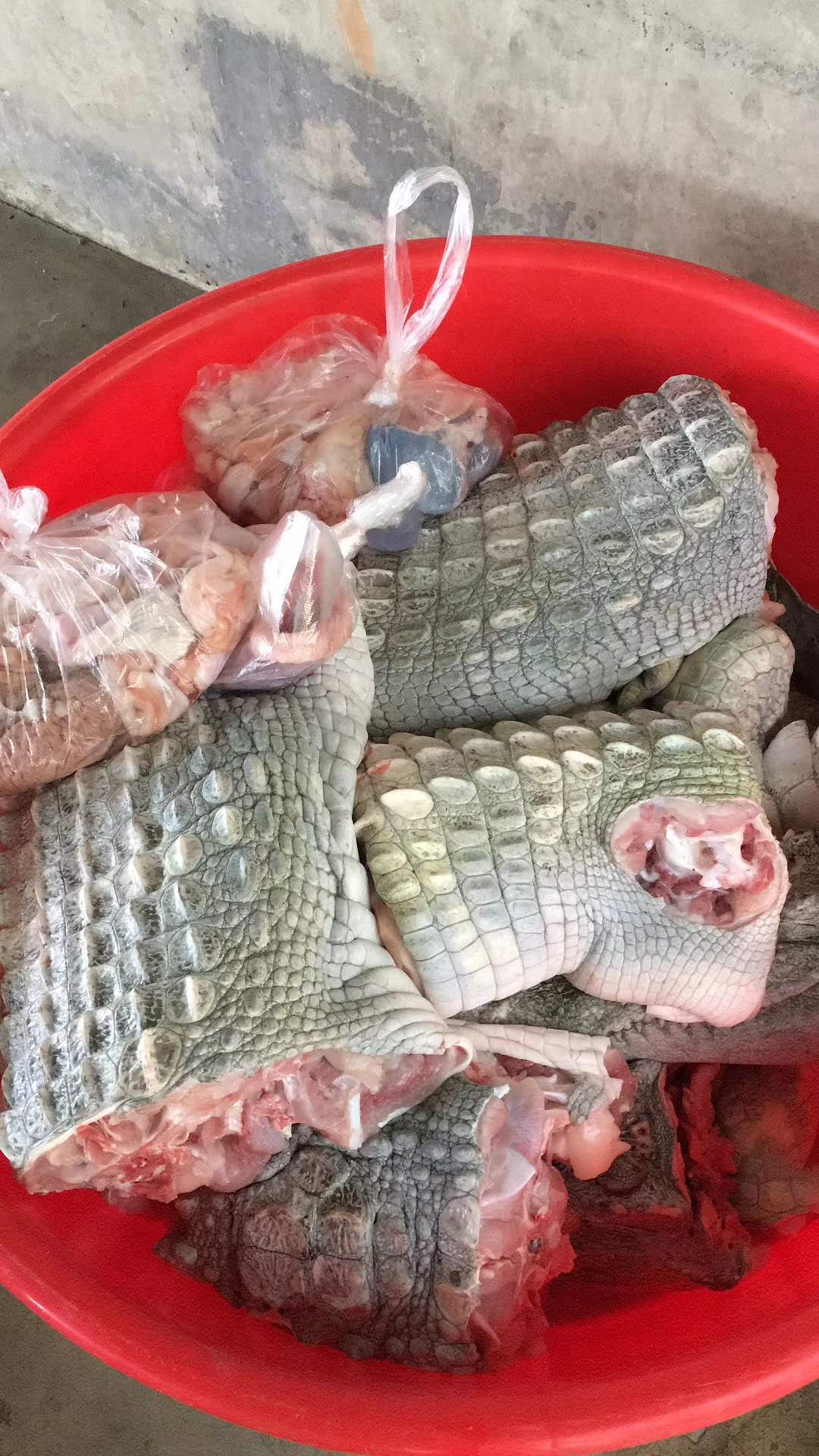 来海口吃羊肉,海南地道东山羊