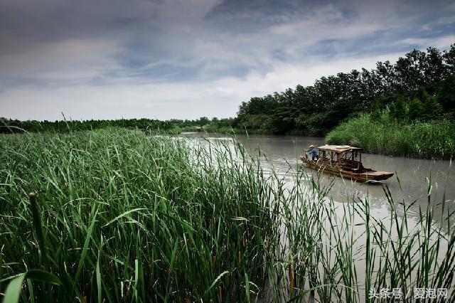 江苏溱湖国家湿地公园,江苏溱潼湿地公园