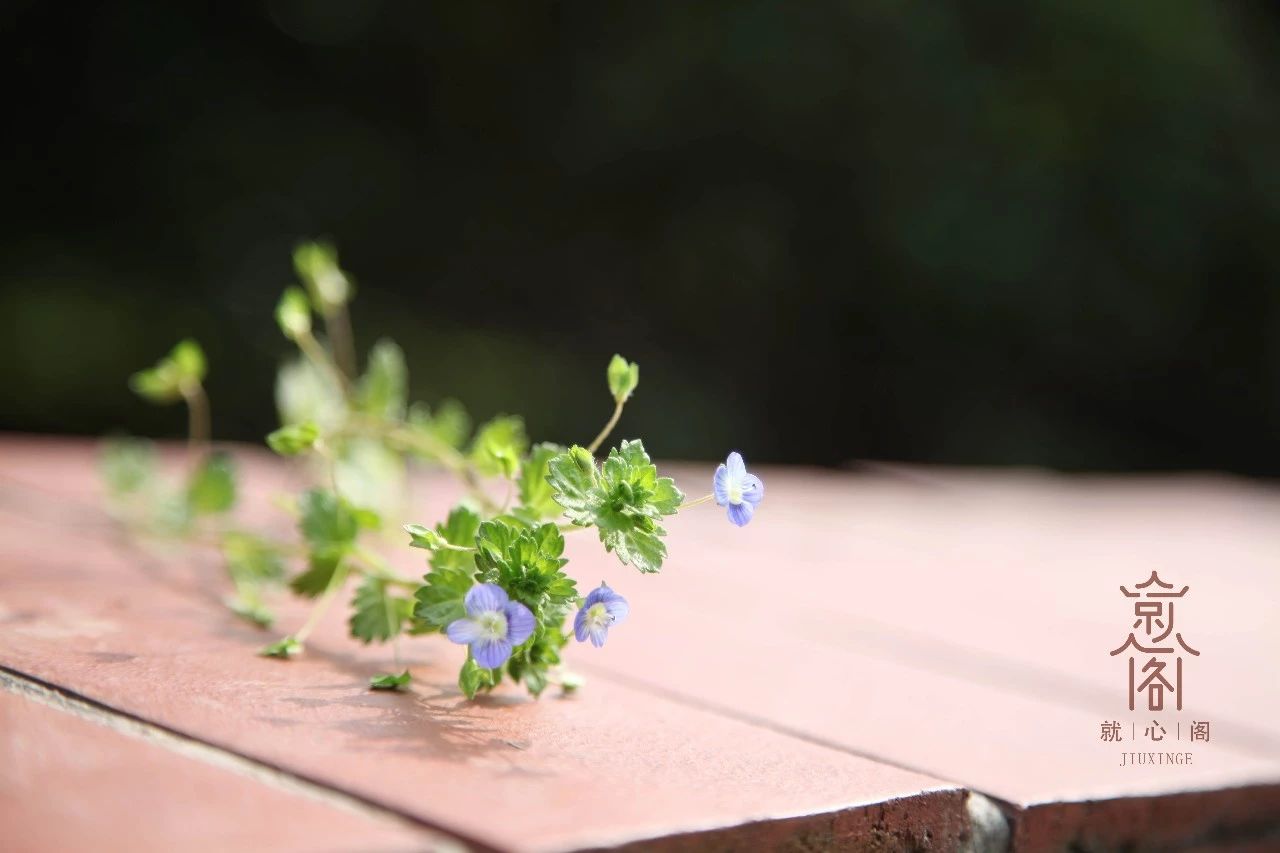 孕妇霉菌反复发作怎么办,霉菌反复发作原因要怎么治疗