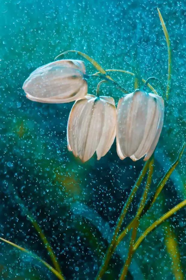 做个花心的女人视频,做个花心的女人歌曲