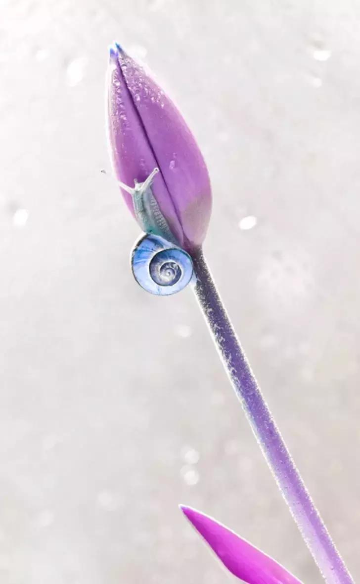 做个花心的女人视频,做个花心的女人歌曲