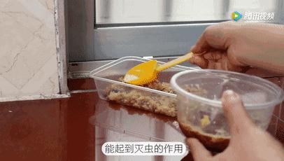 洗衣粉和洗衣液驱蟑螂,洗衣粉白糖米饭除蟑螂