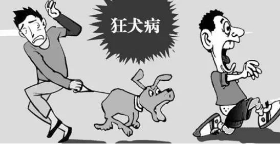 狂犬病致死率100%，这些救命知识一定要早知道！