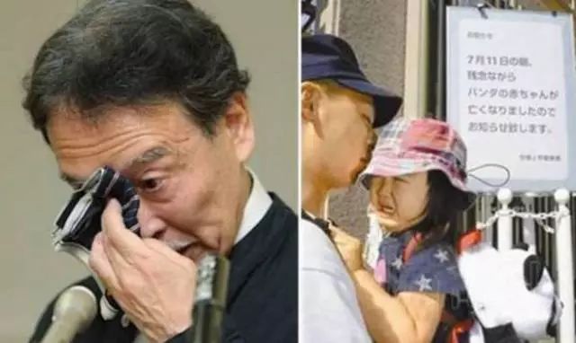 世界上最高龄大熊猫,大熊猫战兽