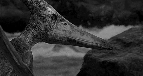 方舟无齿翼龙驯服教程,无齿翼龙有翅膀吗