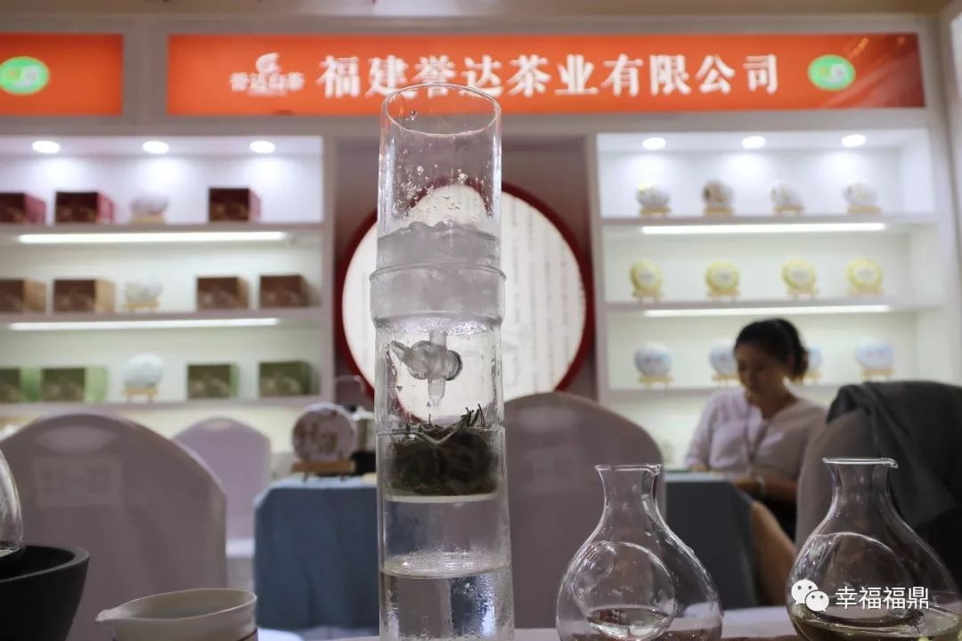 福鼎白茶进京“赶考”，好评如潮，香飘“一带一路”