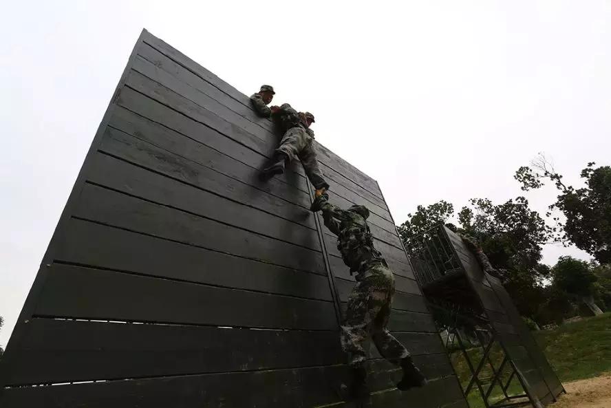 常规部队和特种部队实力对比,顶尖的特种部队都有哪些