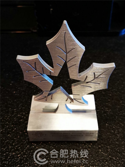 西科大世界冠军,西大学子奥运夺冠