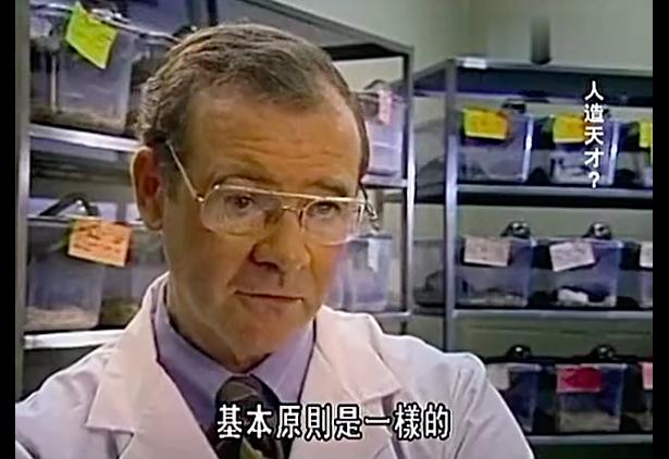 科学家用三组老鼠做实验，发现了让大脑变聪明的秘密……父母必读