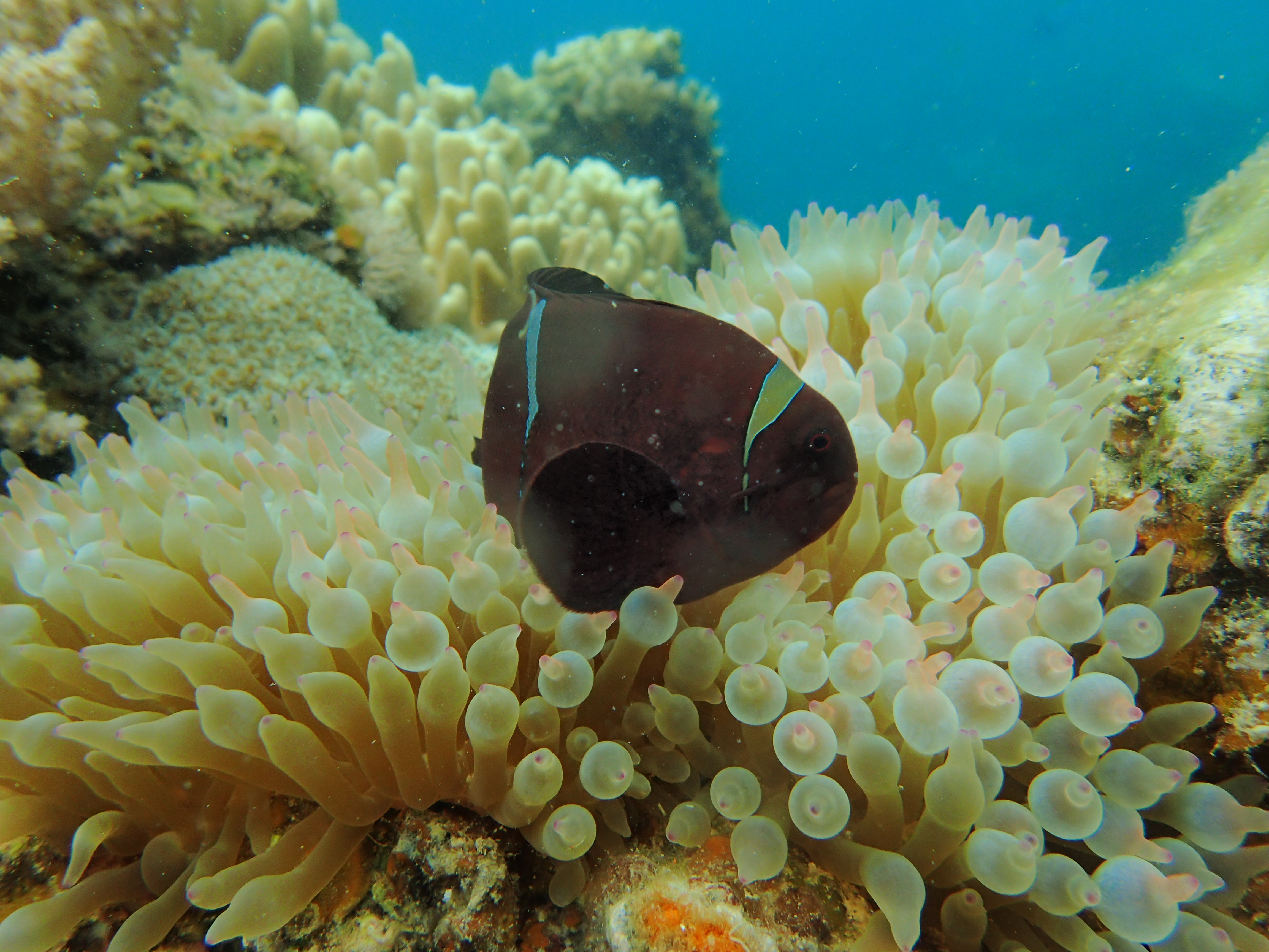 晒晒疫情期间家里的囤货,晒晒疫情家里的囤货