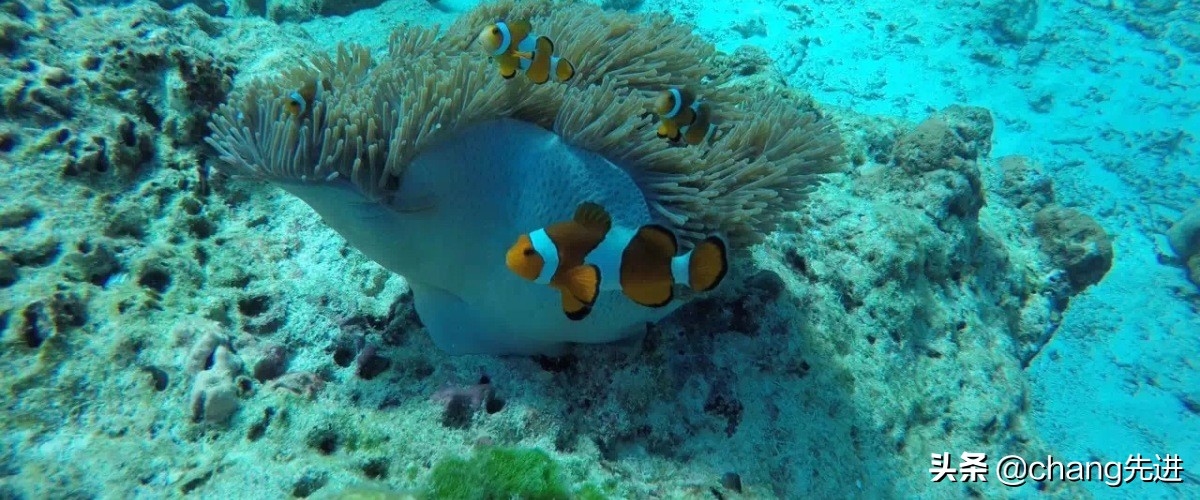 第一次去普吉岛机场攻略,泰国普吉岛普及镇住宿攻略