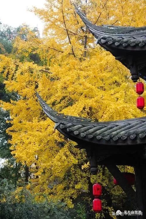 兰州到甘谷绿巨人开通时间,兰州至上海绿巨人