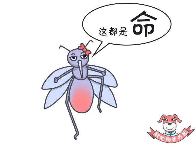 鍚歌铓婂瓙婕敾,鍏充簬铓婂瓙婕敾