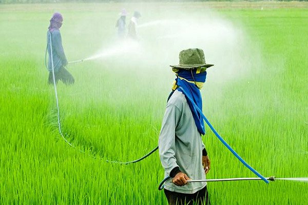 夏季打药多少度合适,打农药多少度最适合打药