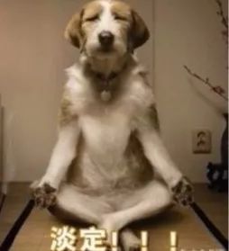 林允同款眼膜效果怎么样,林允同款眼霜评测