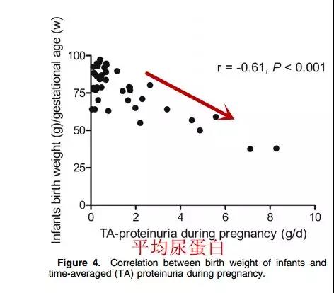 iga肾炎怀孕为什么有危险,iga肾炎三级怀孕风险大吗
