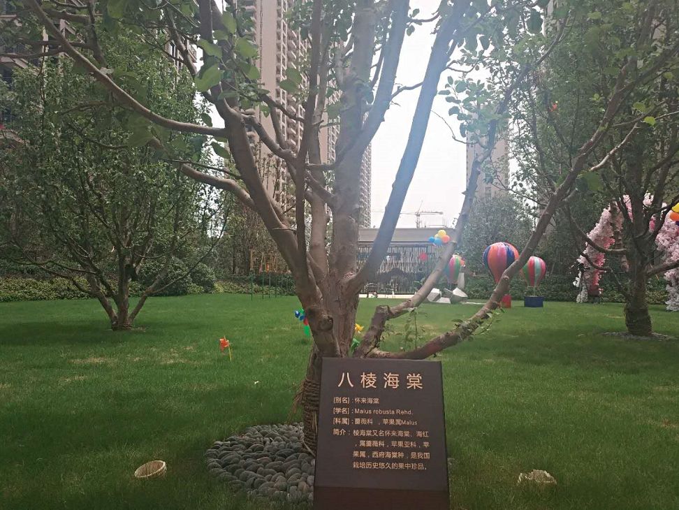 弘阳燕江府交付,弘阳燕江府楼盘地址在哪里