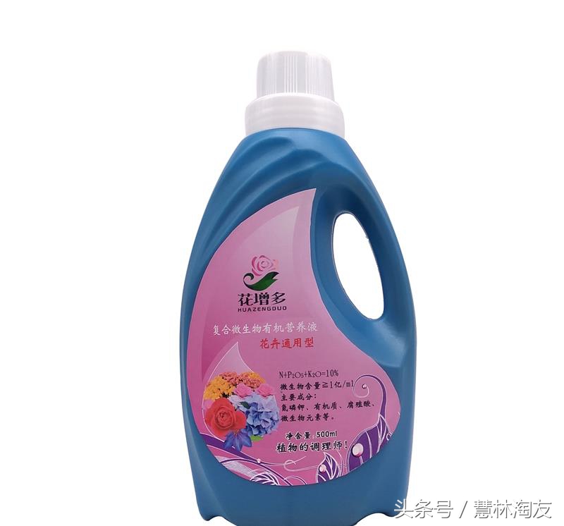 茉莉红蜘蛛用什么药最有效,茉莉生红蜘蛛用什么方法