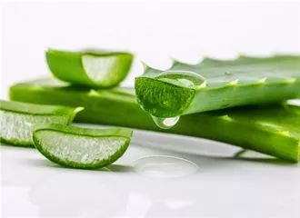 蚊子咬完红肿硬很大怎么样能止痒,被蚊子咬了别挠痒为什么