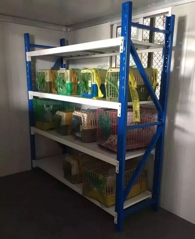 出远门再也不用担心“毛孩子”啦！在常州机场，宠物们也能坐飞机了~