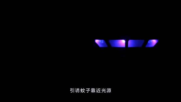 防止蚊子咬最好的方法,终于知道为什么容易被蚊子咬了